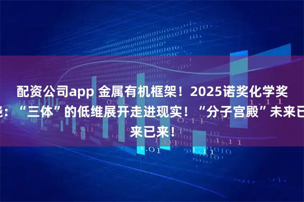 配资公司app 金属有机框架！2025诺奖化学奖揭晓：“三体”的低维展开走进现实！“分子宫殿”未来已来！