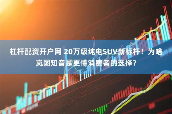 杠杆配资开户网 20万级纯电SUV新标杆！为啥岚图知音是更懂消费者的选择？