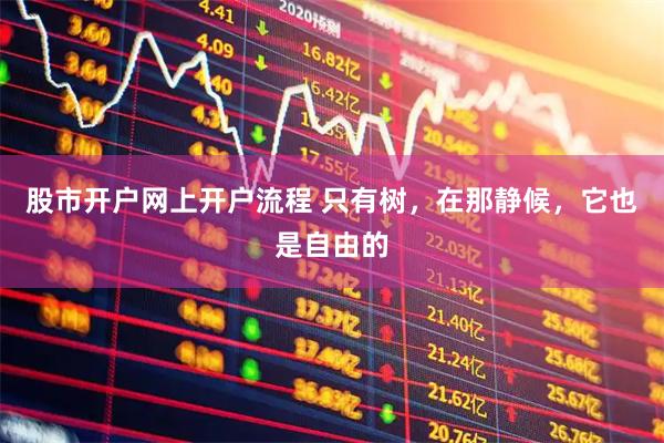 股市开户网上开户流程 只有树，在那静候，它也是自由的