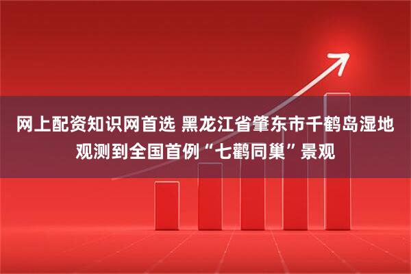 网上配资知识网首选 黑龙江省肇东市千鹤岛湿地观测到全国首例“七鹳同巢”景观